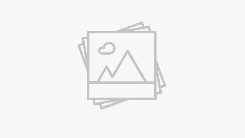 APISONADORA